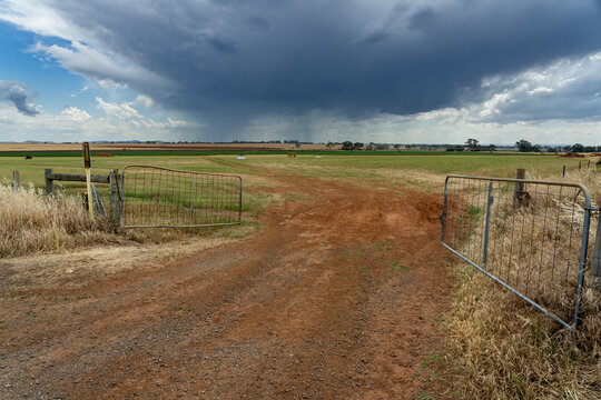 An open farm gate leading into paddock with rain falling from a dark cloud above