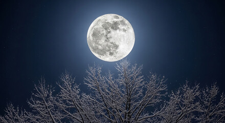 Fototapeta premium Full moon shines over snow-covered tree branches against a starry night sky, symbolizing mystery, winter, and nocturnal beauty