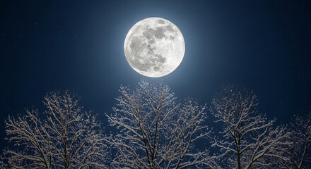 Fototapeta premium Full moon illuminating snow-covered tree branches against a dark starry sky, symbolizing winter, nature's beauty, and nocturnal wonder