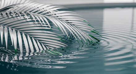 Obraz premium Silver palm fronds gently touch serene blue water, creating ripple effect, symbolizing tranquility, spa, and luxury resort aesthetics