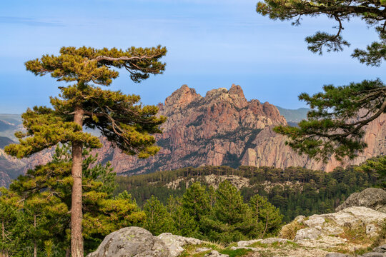 Les Aiguilles de Bavella au c&oelig;ur de la for&ecirc;t corse