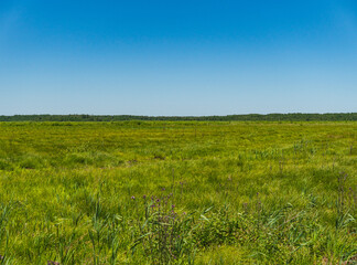Fototapeta premium a landscape of vast plains periodically flooded during the spring thaw