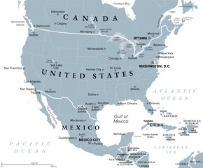 Naklejka premium Canada, United States, and Mexico, gray political map of North America, showing Canada south of 60, USA, and Mexico, with capitals, largest cities, and borders of their states and provinces. Vector