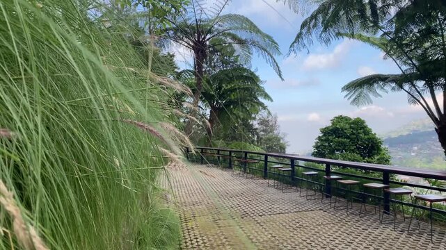 coffee shop or quiet hangout with views of the slopes of Mount Merapi in Selo, Boyolali, Central Java, Indonesia.