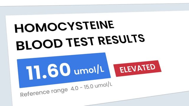 Homocysteine Blood Test Result Monitoring Digital Counter UI Interface Animation