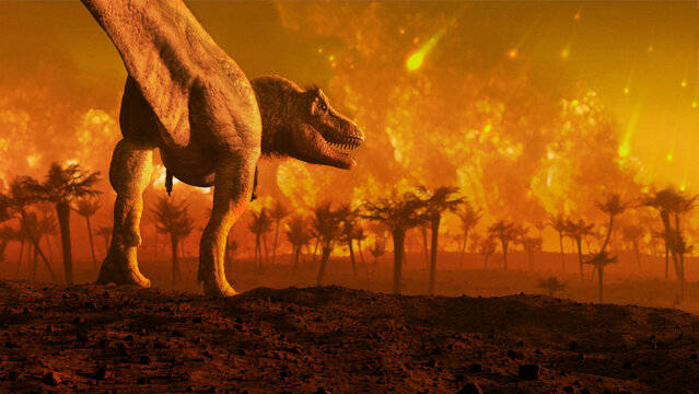 T Rex Watches Firestorm