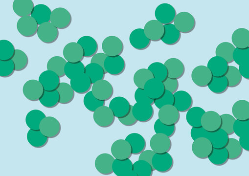 Staphylococci bacteria, illustration