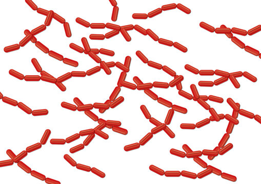 Streptobacilli bacteria, illustration