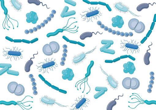 Bacteria, illustration