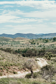 Winding rough track in the outback.