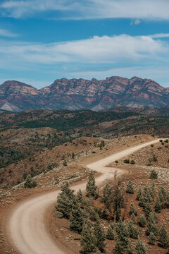 Dirt track with Flinders ranges landscape.