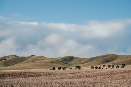 Rolling farm hills against a storm sky