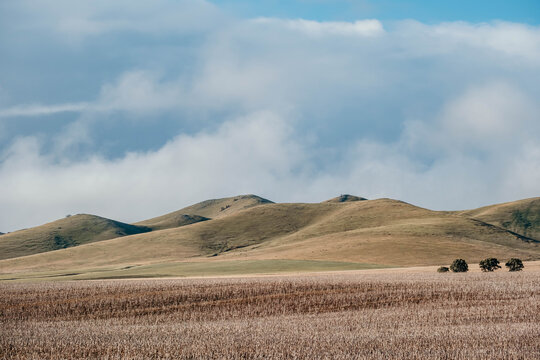 Rolling bare hills and cropping land with a cloudy sky