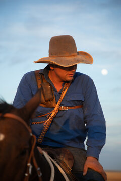 Stockman on horseback