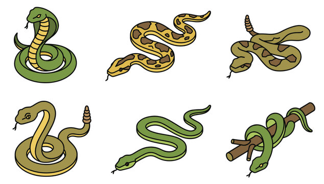 Colorful flat style snake drawing vector collection. Set of dangerous reptiles including cobra, rattlesnake, and python isolated on white background.