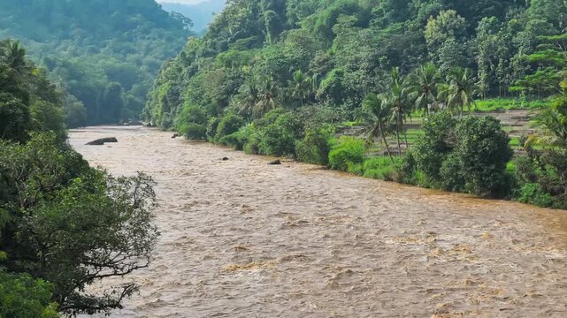 Medium shot of rapid brown muddy river currents flowing through a lush green valley with coconut trees and mountain backdrop. Cimanuk River, Sumedang, Indonesia.