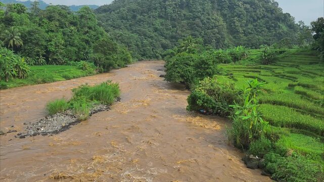 Wide aerial drone shot of a fast flowing brown muddy river alongside lush green rice field terraces and tropical hills. Cimanuk River, Sumedang, Indonesia.