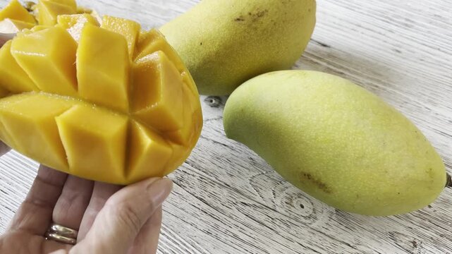 A close-up of diced mango in a woman&rsquo;s hands. The woman is showing a ripe mango that has been cut open.