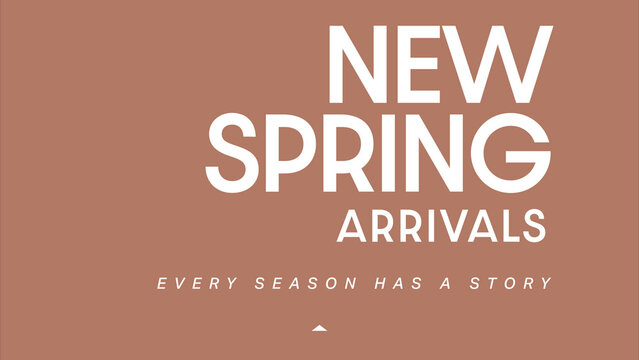 Style Script - Professional stylish premium typography animation with refined lettering for fashion promos, luxury brand stories and polished social media content