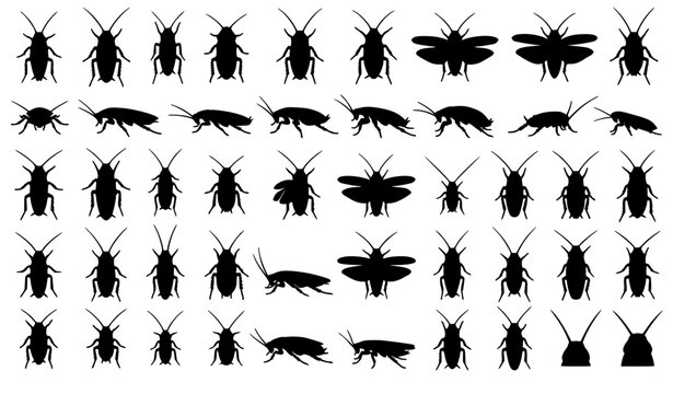 Cockroach Silhouette Vector Set with Pest Insect Icons for Pest Control and Education