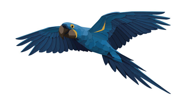 Blue Macaw Parrot Flying With Wings Spread Wide.