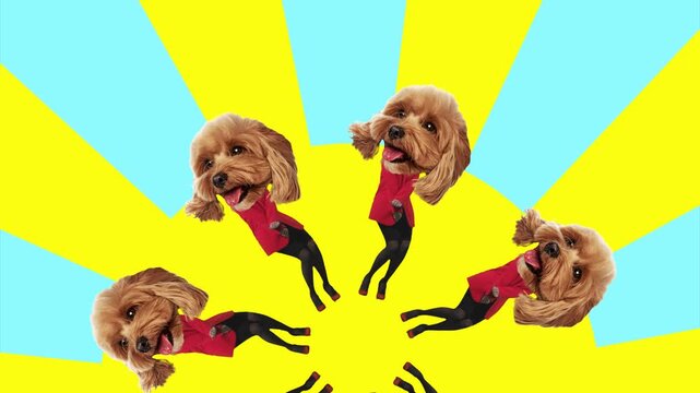 Dancing dog head characters arranged in circular pop art stop motion. Concept of social media content, entertainment marketing, playful branding, creative advertising, and visual storytelling.
