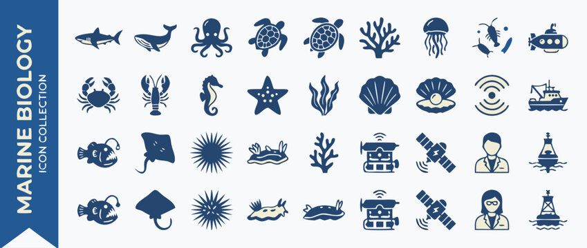Professional vector icon set of 24 marine biology and ocean life items featuring a modern duotone color scheme, including whales, sharks, jellyfish, sea turtles, coral, and deep sea fish.
