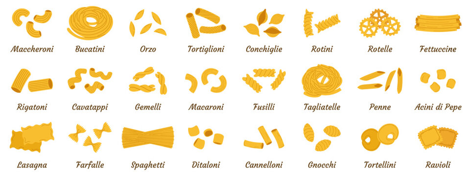 Set of Italian pasta types with names: spaghetti, penne, farfalle. Infographic collection of isolated macaroni icons with text titles. Perfect for menu, kitchen poster, culinary blog, food packaging.