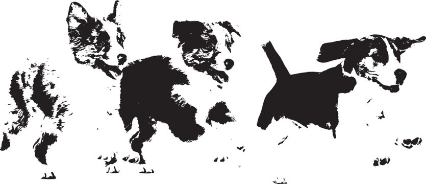 Three cute puppies playing together in a happy group illustration isolated on transparent background, Vector