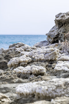 Salt formations on the shore of the Dead Sea in Israel.
