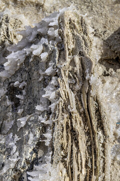 Interesting shaped rock with salt on it at the Dead Sea in Israel.
