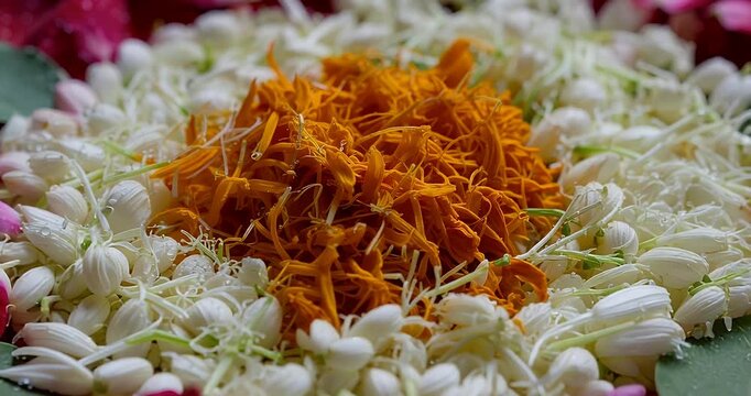 A beautiful close-up of white jasmine flowers surrounding a vibrant pile of orange marigold petals, arranged in a circular pattern.