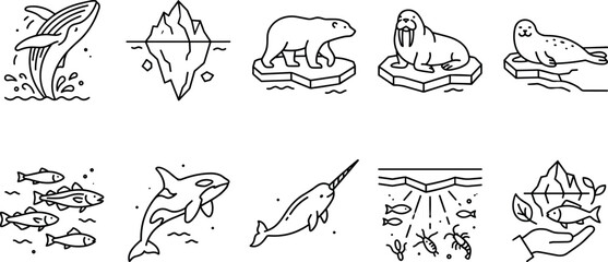 Arctic wildlife and polar ocean animals line icon set featuring whale iceberg polar bear walrus seal orca narwhal vector © Ruksana Studio