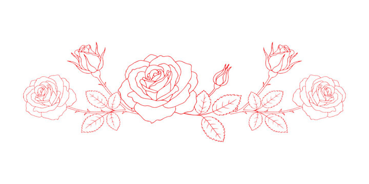 Elegant red outline rose flowers and floral garland with leaves and thorns vector line art illustration.