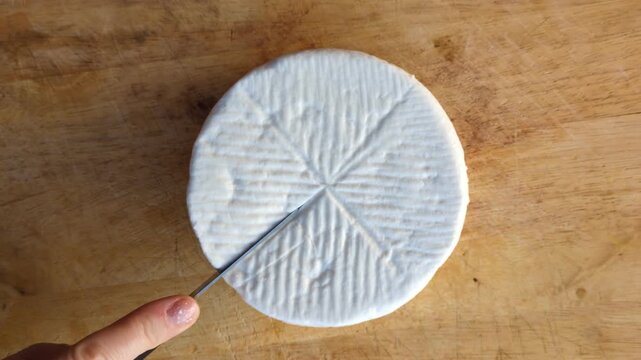 Top view of a person cutting a wheel of traditional white goat cheese on a rustic wooden board, gourmet food preparation and artisan cheese making concept in a Mediterranean kitchen