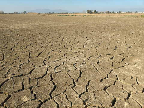 Drought damaged agricultural field with cracked soil and dry landscape
