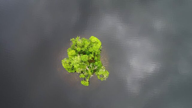 Loch Ard island seen from above as a drone slowly turns, circling a lone green canopy on a tiny islet surrounded by dark lake water and reflections.