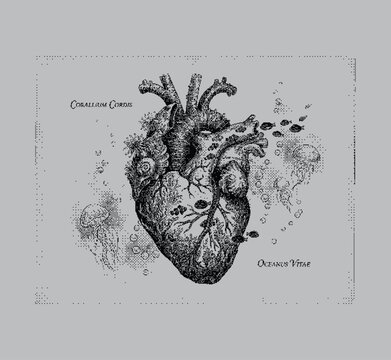 A black and white illustration of a heart with coral and sea elements on a light blue background