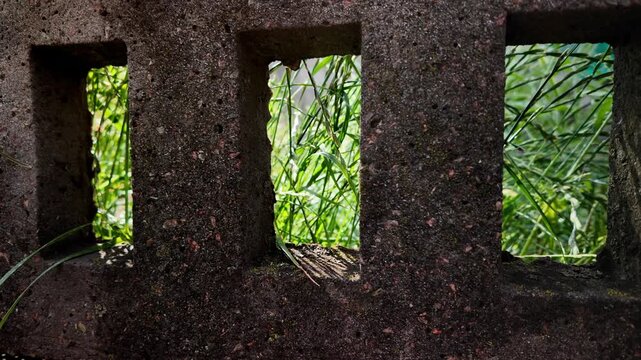 A cinematic 4K 24fps panning shot of an old textured concrete fence overgrown with wild grass. Fast camera movement creates realistic motion blur, capturing a gritty, rural summer atmosphere.