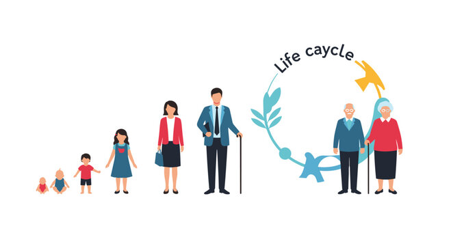 Infographic representing the human life cycle from infancy and childhood to adulthood and elderly age with walking sticks.