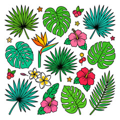 A collection of hand drawn tropical leaves and flowers © salmanan