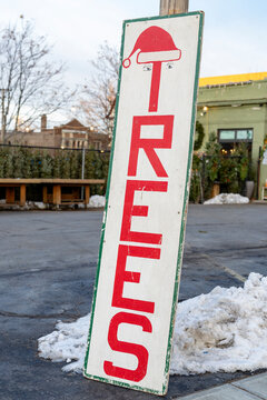 A tall sign with red letters spelling TREES and a Santa hat, outdoors with light snow around.