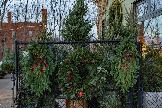 Evergreen wreaths with red berries and pinecones hang on a fence with Christmas trees behind.