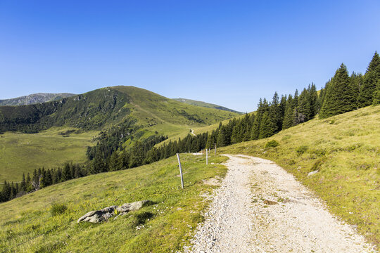 View of a winding gravel path through lush green alpine meadows and pine forests on the Koralpe mountain range under a clear blue sky in Wolfsberg, Carinthia, Austria.