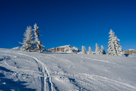 Snow-covered landscape with frosted trees under a vibrant blue sky. 