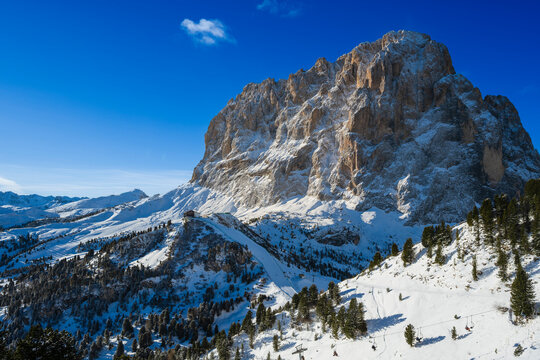 Majestic snow-covered mountain under a deep blue sky with scattered trees below.