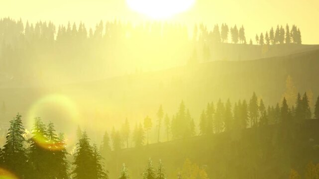 The sun rises over the hills, casting a golden light on the landscape. Trees stand silhouetted against the bright sky. Mist lingers in the valleys, creating a soft view of nature.