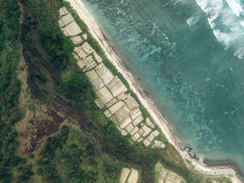 Aerial view of terraced fields by the beach and ocean waves in a coastal landscape. Ly Son island, Vietnam