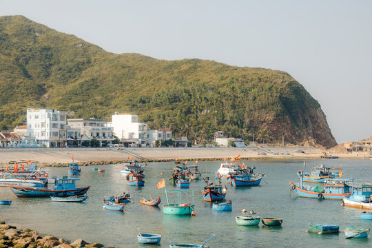 Colorful fishing boats floating in a calm bay with hills and buildings in the background.