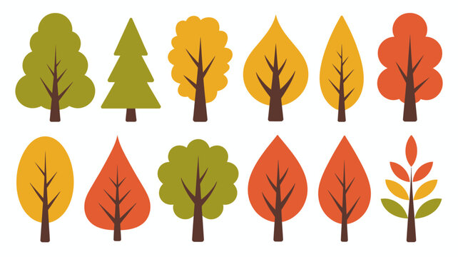 Collection of autumn trees with colorful fall leaves changing seasons Vector